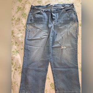Lane Bryant plus size woman's jeans